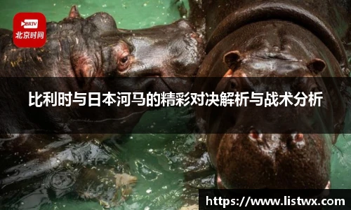 比利时与日本河马的精彩对决解析与战术分析